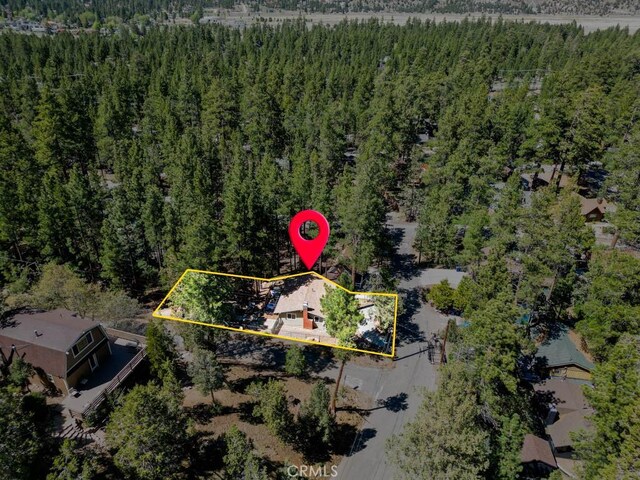 509 Beaumont Ln, Big Bear City, CA 92314 - photo 45
