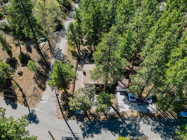 509 Beaumont Ln, Big Bear City, CA 92314 - photo 43