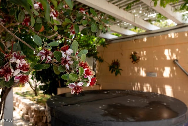 1207 S L St, Oxnard, CA 93033 - view of patio / terrace featuring a pergola
