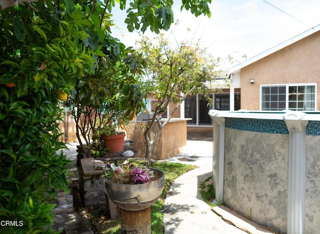 1207 S L St, Oxnard, CA 93033 - view of yard