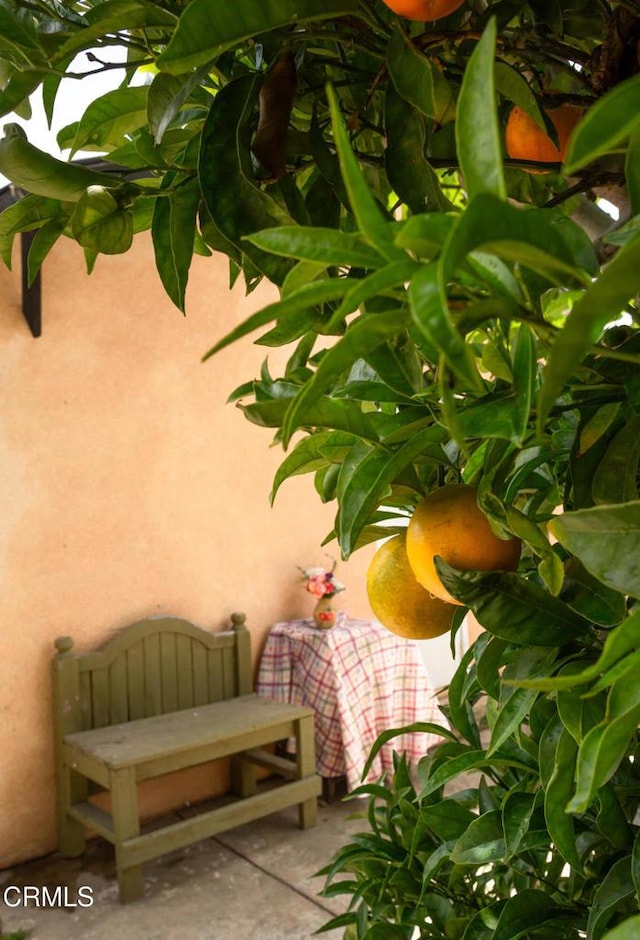 1207 S L St, Oxnard, CA 93033 - view of patio / terrace