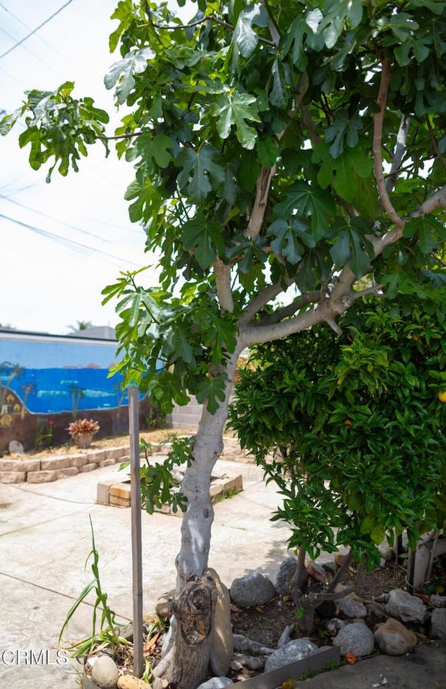 1207 S L St, Oxnard, CA 93033 - water view