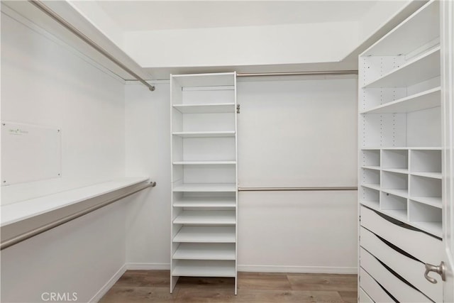 8851 Soothing Ct, Corona, CA 92883 - spacious closet featuring light wood finished floors