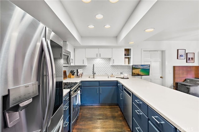 31342 Silverado Canyon Rd, Silverado Canyon, CA 92676 - kitchen featuring stainless steel appliances, a sink, blue cabinets, dark wood finished floors, and recessed lighting