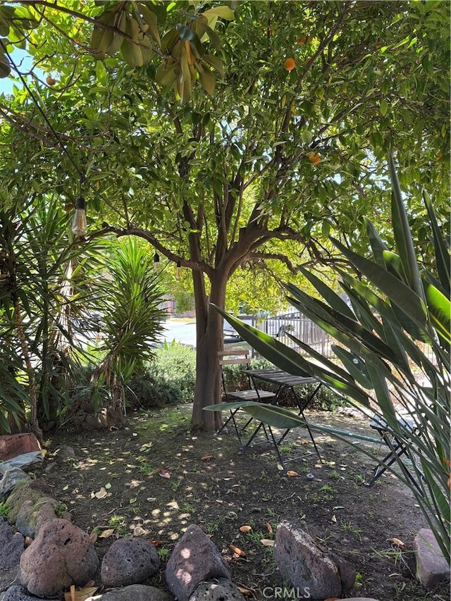 163 S Kingsley, Los Angeles, CA 90004 - view of yard