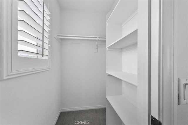 6864 Ripple Ct, Jurupa Valley, CA 91752 - walk in closet featuring carpet floors