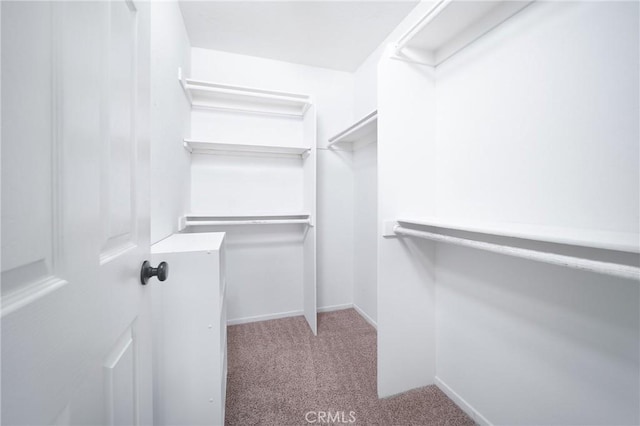 11015 Charleston St, Rancho Cucamonga, CA 91701 - walk in closet featuring carpet flooring