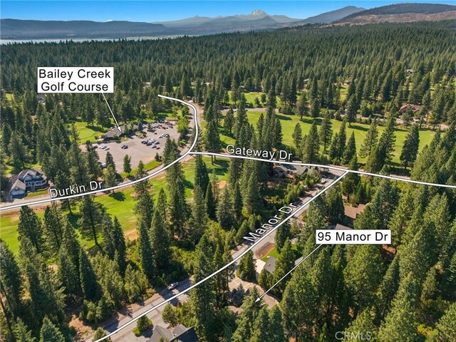 95 Manor Dr, Lake Almanor, CA 96137 - photo 35