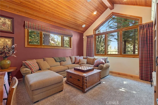 95 Manor Dr, Lake Almanor, CA 96137 - photo 23