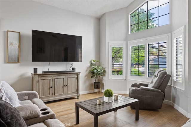 7209 Copper Creek Way, Bakersfield, CA 93308 - living area with light wood-style flooring, a high ceiling, and baseboards