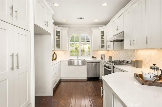 10108 Marchant Ave, Tustin, CA 92782 - kitchen with stainless steel appliances, under cabinet range hood, a sink, light countertops, and glass insert cabinets