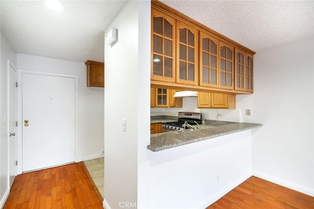 10149 Commerce Ave Unit 8, Tujunga, CA 91042 - kitchen with glass insert cabinets, light wood-style floors, a sink, stainless steel gas range, and a textured ceiling