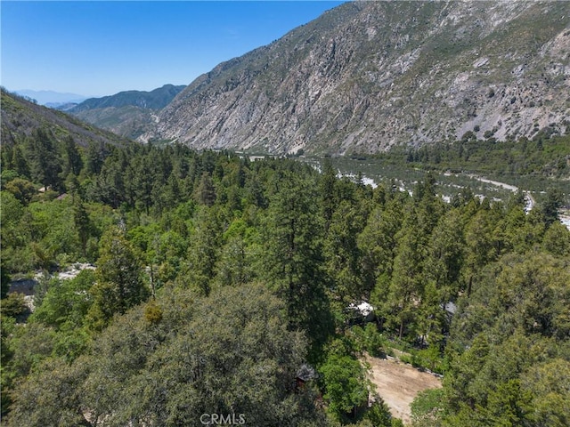 9091 Mountain View Dr, Forest Falls, CA 92339 - view of mountain backdrop with a heavily wooded area and a large body of water