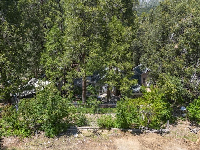 9091 Mountain View Dr, Forest Falls, CA 92339 - view of undeveloped land