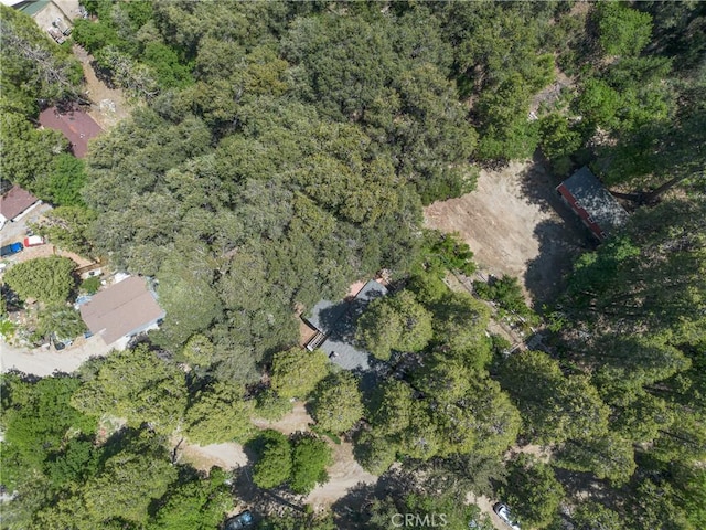 9091 Mountain View Dr, Forest Falls, CA 92339 - aerial overview of property's location with a heavily wooded area