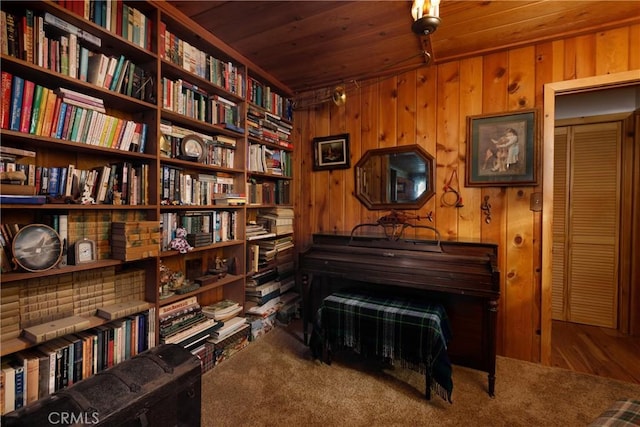 9091 Mountain View Dr, Forest Falls, CA 92339 - sitting room with wall of books, wood ceiling, wooden walls, and carpet floors