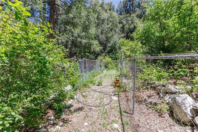 9091 Mountain View Dr, Forest Falls, CA 92339 - view of yard
