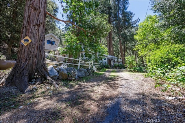 9091 Mountain View Dr, Forest Falls, CA 92339 - view of yard
