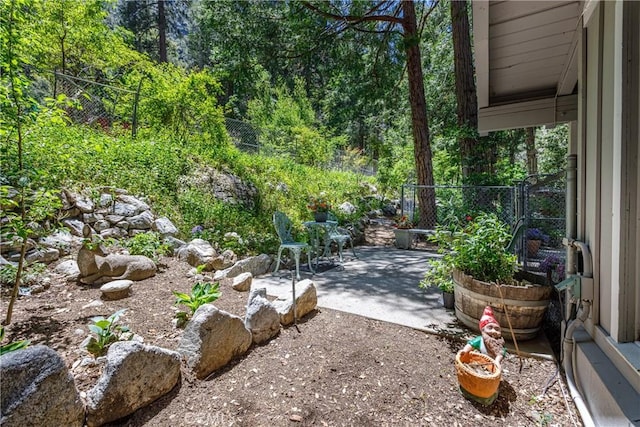 9091 Mountain View Dr, Forest Falls, CA 92339 - view of yard with a patio