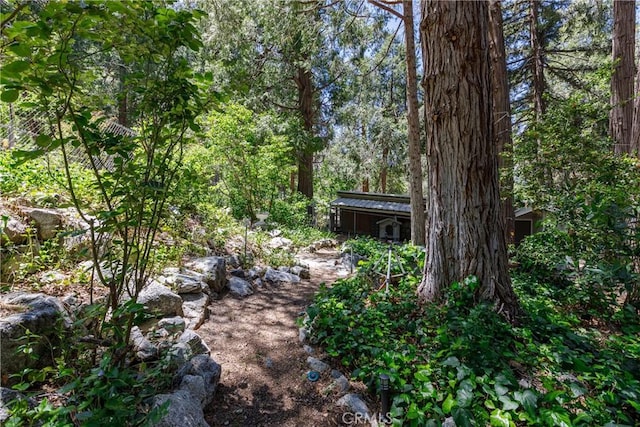 9091 Mountain View Dr, Forest Falls, CA 92339 - view of yard featuring a forest view