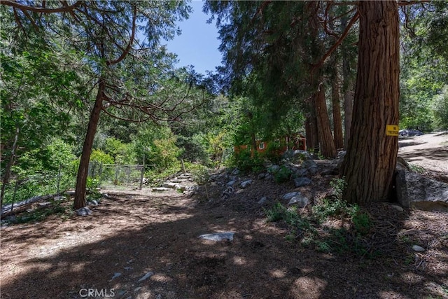 9091 Mountain View Dr, Forest Falls, CA 92339 - view of yard with a forest view