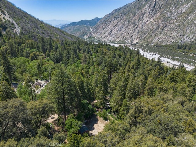 9091 Mountain View Dr, Forest Falls, CA 92339 - view of mountain background featuring a heavily wooded area and a large body of water