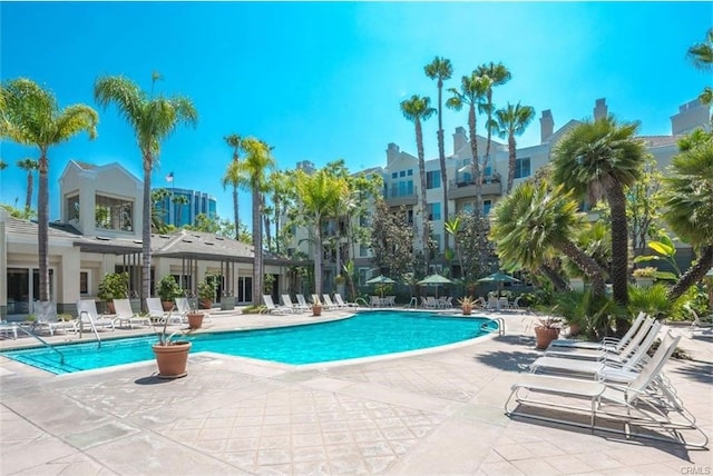 2233 Martin Unit 411, Irvine, CA 92612 - community pool featuring a patio