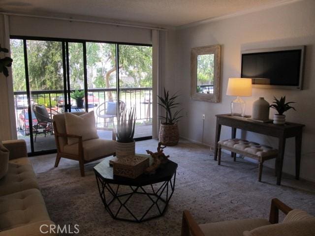 13601 Del Monte Dr Unit M17-46A, Seal Beach, CA 90740 - living room with healthy amount of natural light, crown molding, baseboards, and carpet floors
