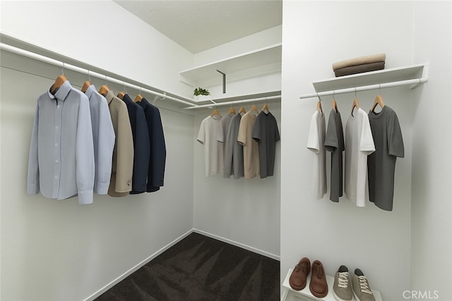 37940 42nd St E Unit 125, Palmdale, CA 93552 - walk in closet featuring carpet floors