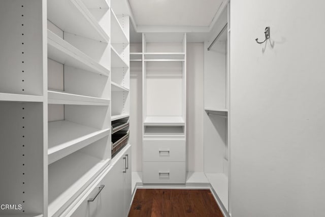 1000 E California Blvd Unit 108, Pasadena, CA 91106 - walk in closet with dark wood-type flooring