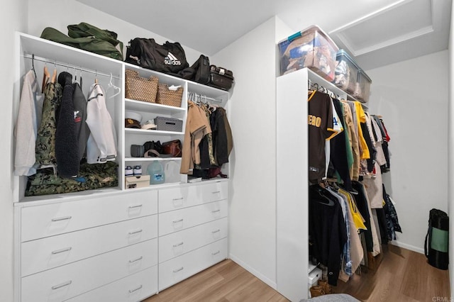 5485 Seacliff Pl Unit 106, San Diego, CA 92154 - spacious closet with light wood-type flooring