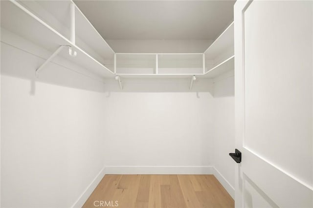 13 Lucero W, Irvine, CA 92620 - walk in closet with light wood-type flooring
