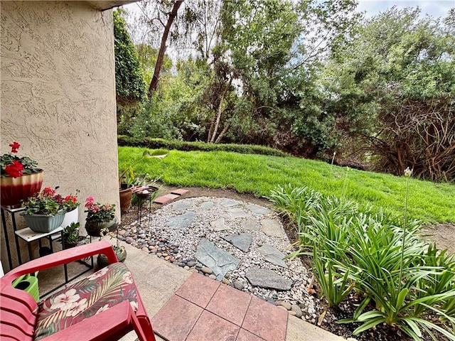 3513 Caminito Sierra Unit 101, Carlsbad, CA 92009 - view of patio