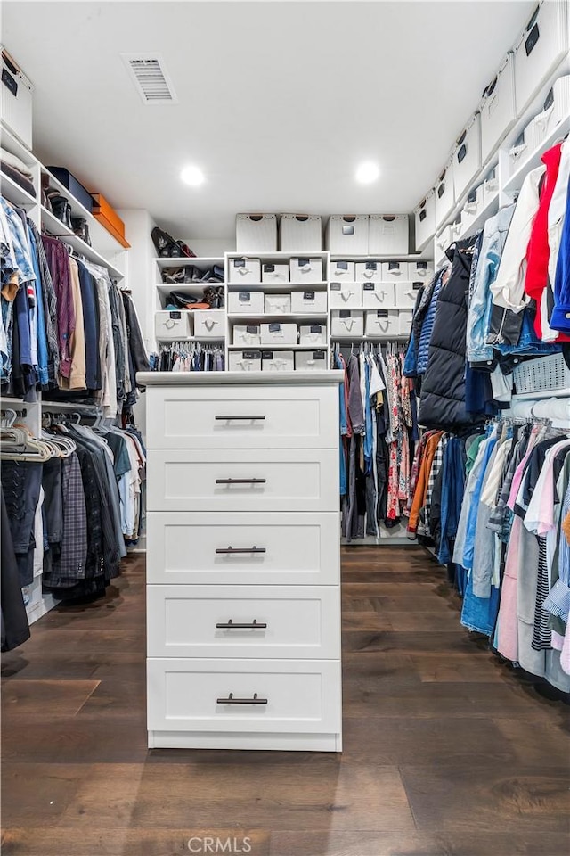 101 Via Almodovar, San Clemente, CA 92672 - spacious closet with dark wood-style flooring