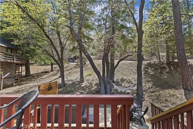 43122 Moonridge Rd, Big Bear Lake, CA 92315 - photo 21