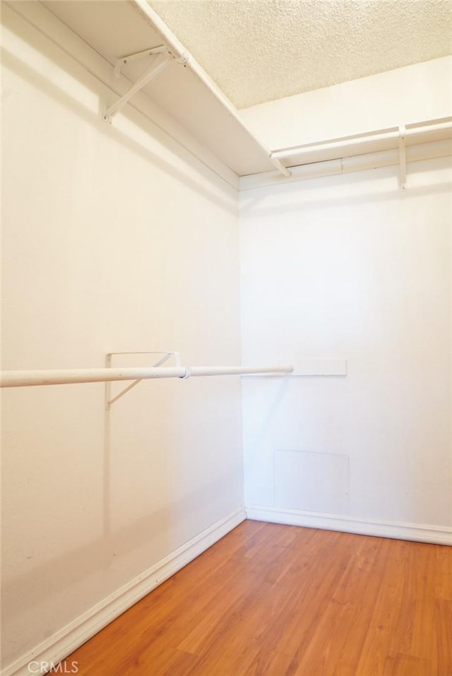 570 W Stocker St Unit 202, Glendale, CA 91202 - walk in closet with light wood finished floors