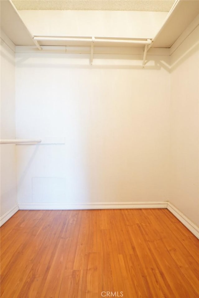 570 W Stocker St Unit 202, Glendale, CA 91202 - walk in closet featuring light wood-style flooring