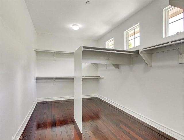 2237 Sageleaf Cir, Corona, CA 92882 - spacious closet with dark wood-style flooring