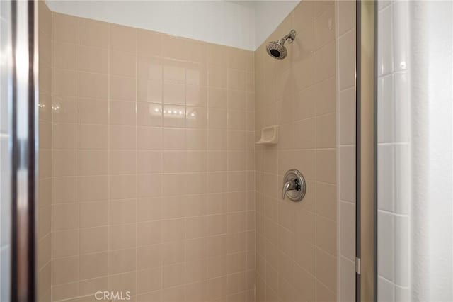44774 Pride Mountain St, Temecula, CA 92592 - bathroom view of a shower stall