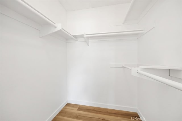 41586 Zinfandel Ave, Temecula, CA 92591 - spacious closet featuring light wood-type flooring