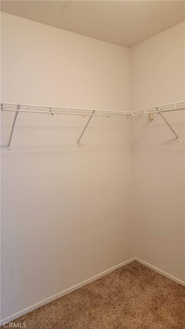 241 Exeter Way, Corona, CA 92882 - spacious closet featuring light carpet