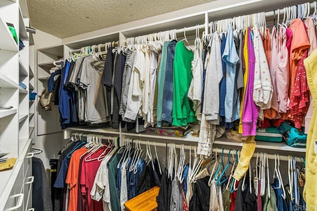 1923 Hidden Mesa Rd, El Cajon, CA 92019 - view of walk in closet