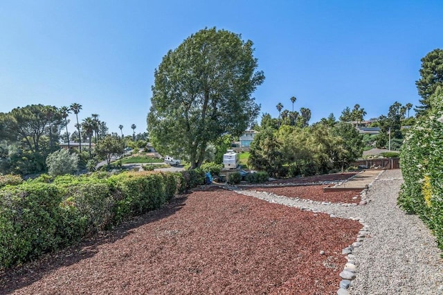 1923 Hidden Mesa Rd, El Cajon, CA 92019 - view of yard