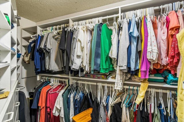 1923 Hidden Mesa Rd, El Cajon, CA 92019 - view of spacious closet