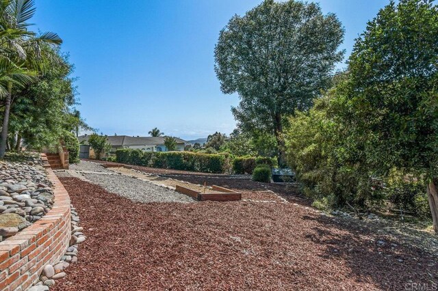 1923 Hidden Mesa Rd, El Cajon, CA 92019 - view of yard