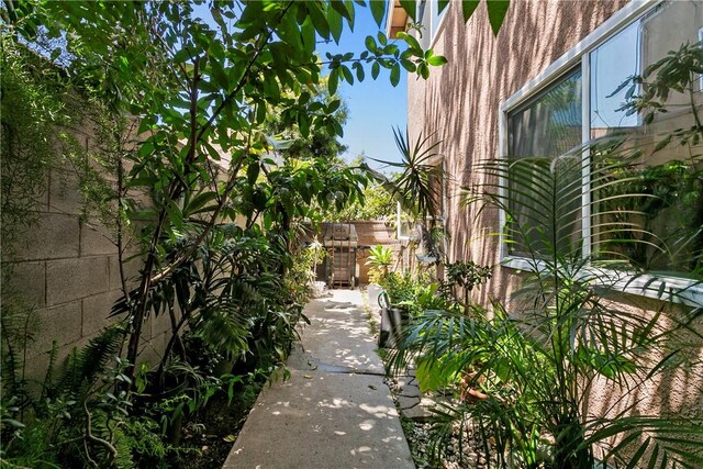 11889 Gale Ave, Hawthorne, CA 90250 - view of yard