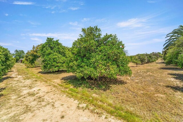 2189 Myers St, Riverside, CA 92503 - view of nature featuring rural landscape