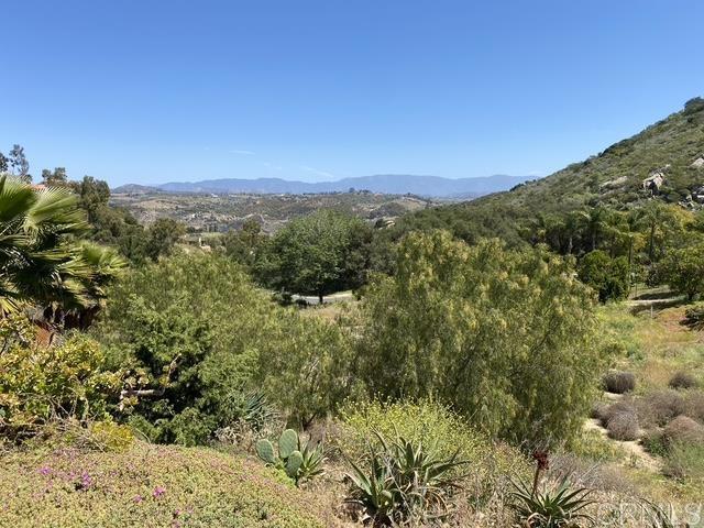 30409 Disney Ln, Vista, CA 92084 - photo 3