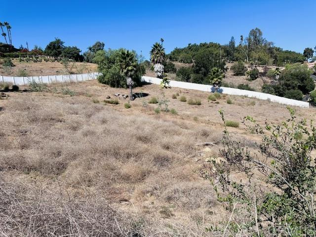 30409 Disney Ln, Vista, CA 92084 - photo 7