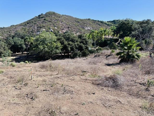 30409 Disney Ln, Vista, CA 92084 - photo 5